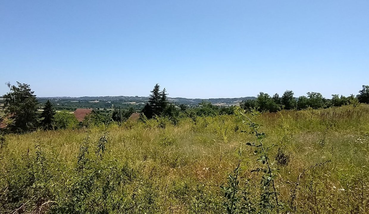 photo_2025-06-24_13-16-20