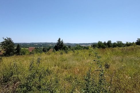 photo_2025-06-24_13-16-20