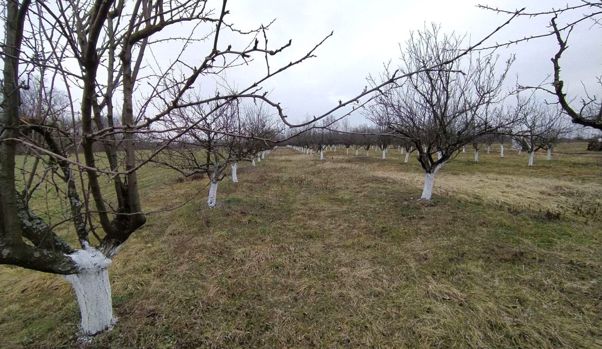 ba820d76-1f23-45cf-86f4-2c2d3a3cc0b9