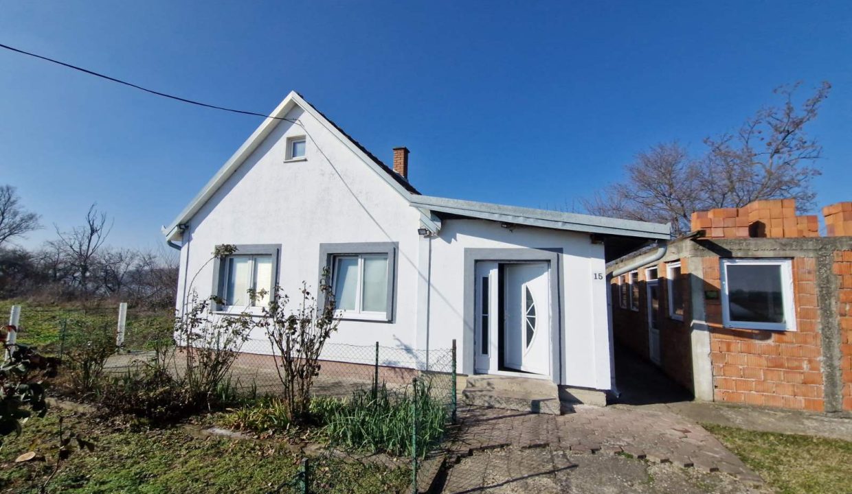 viber_image_2025-02-05_13-59-59-201