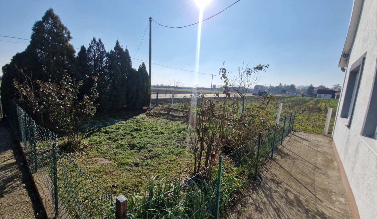 viber_image_2025-02-05_13-59-59-667