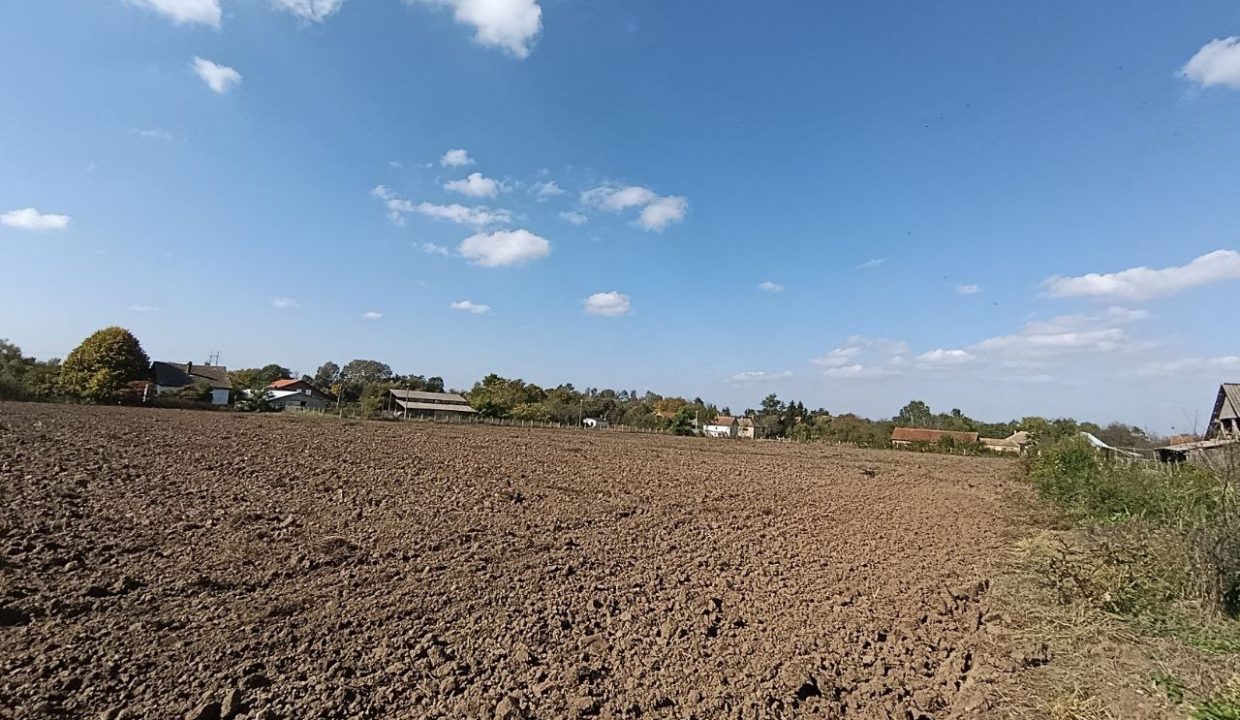 photo_2025-10-17_10-52-03