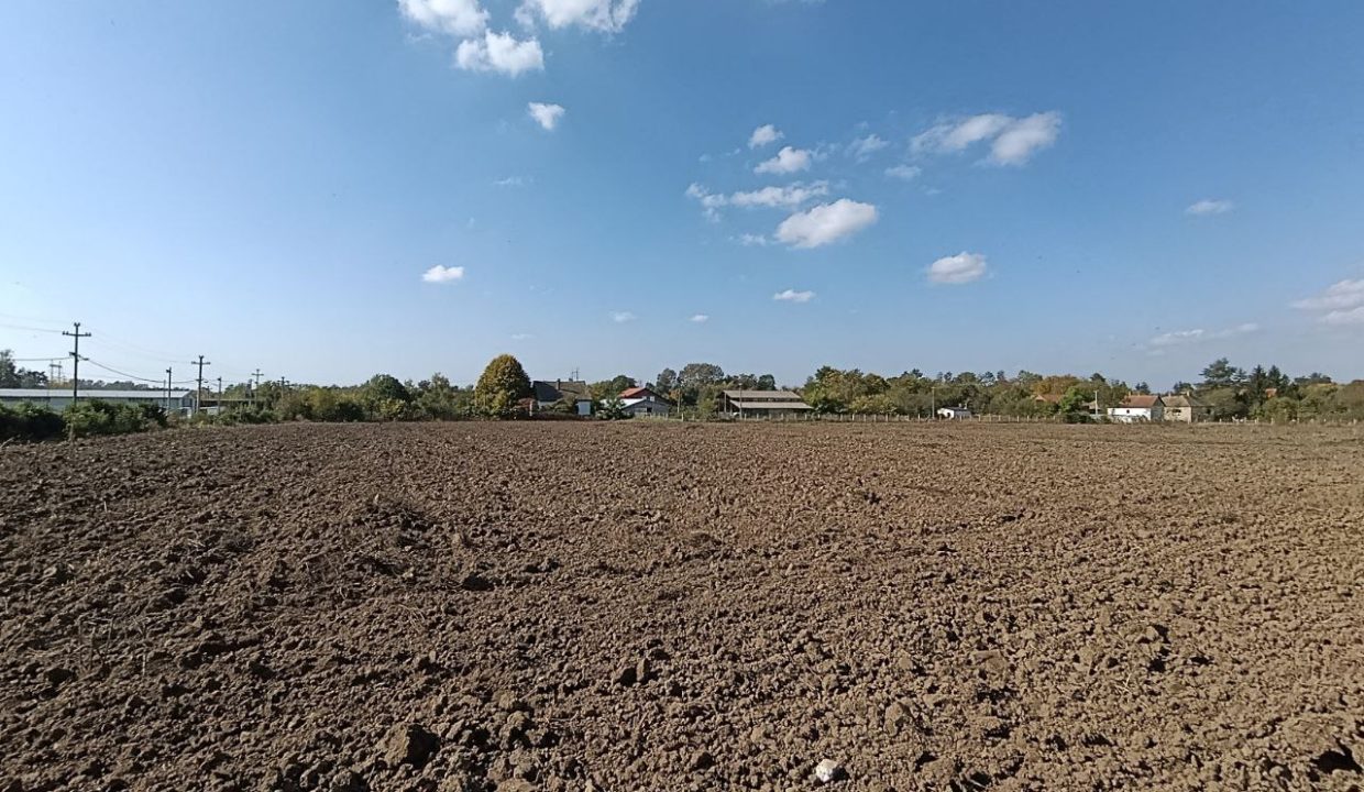 photo_2025-10-17_10-52-08