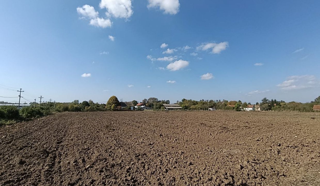 photo_2025-10-17_10-52-11