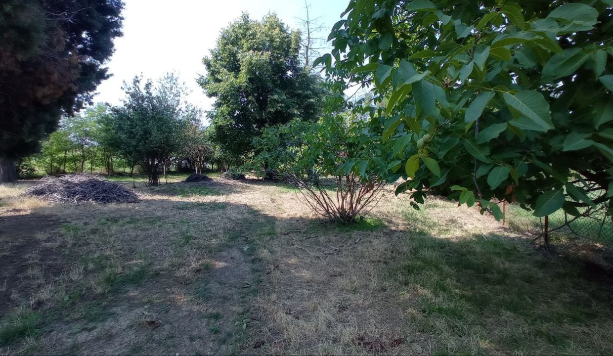 photo_2025-08-08_13-28-15
