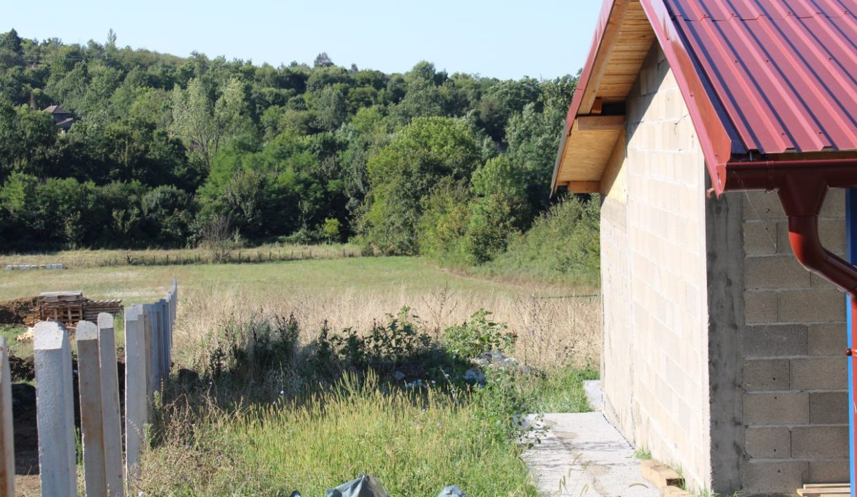 photo_2025-09-10_13-33-19