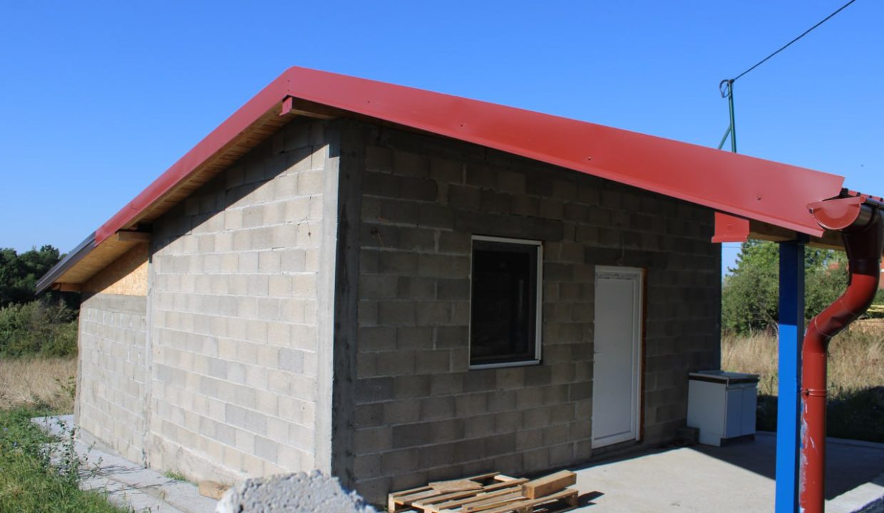 photo_2025-09-10_13-33-31