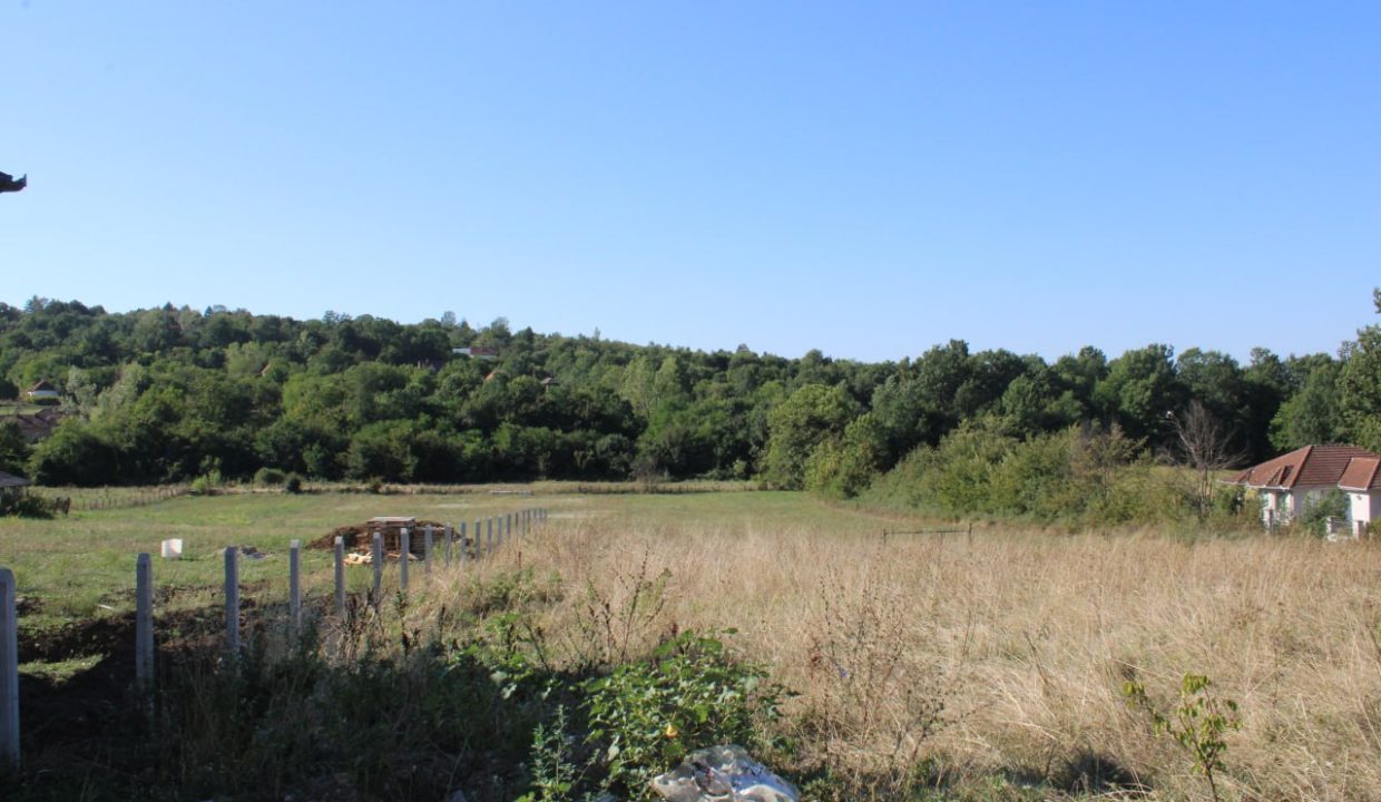 photo_2025-09-10_13-33-33