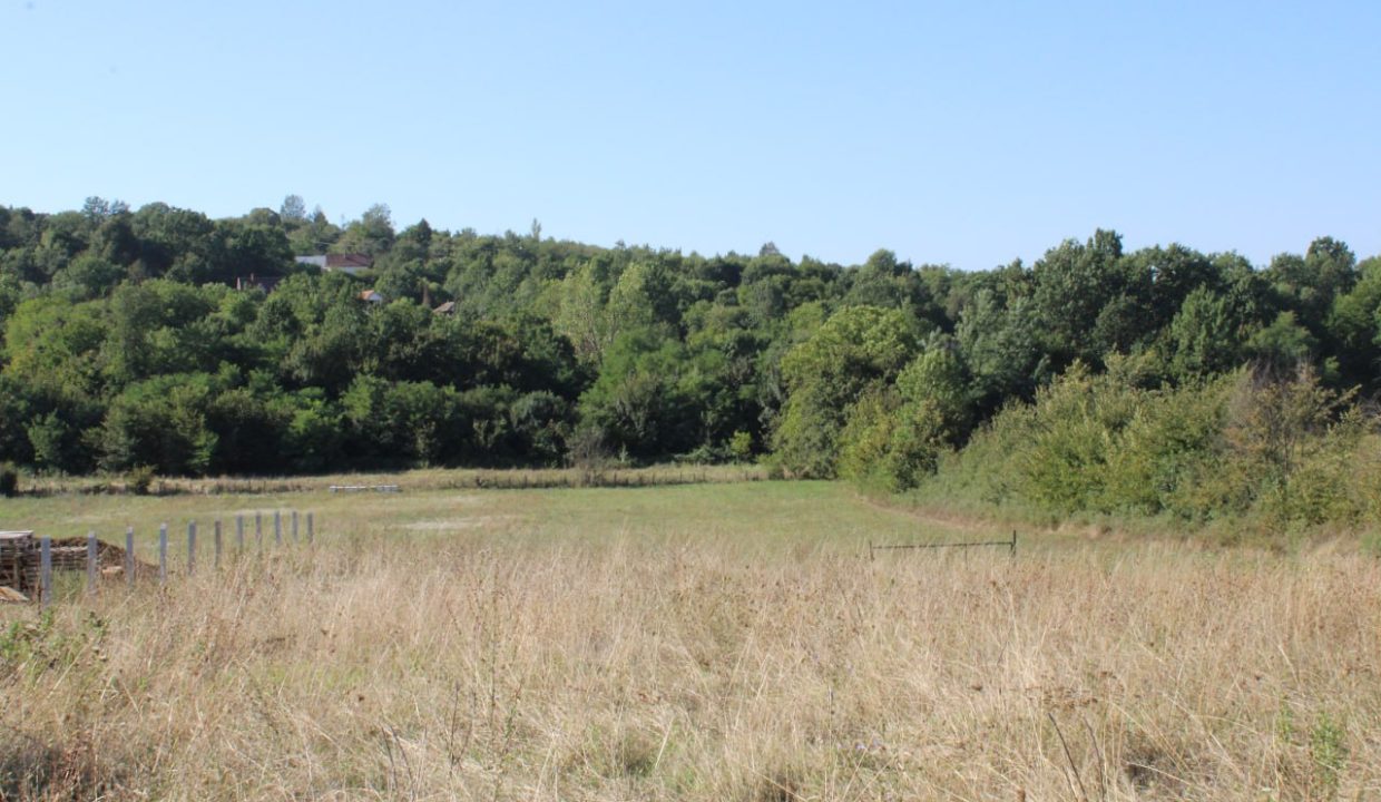 photo_2025-09-10_13-33-37