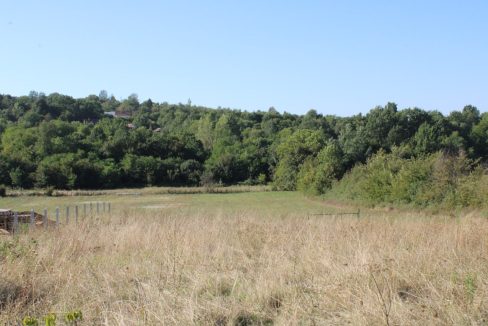 photo_2025-09-10_13-33-37