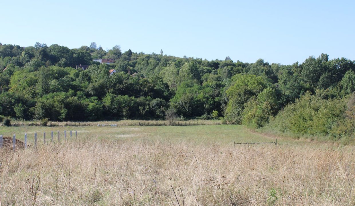 photo_2025-09-10_13-33-45