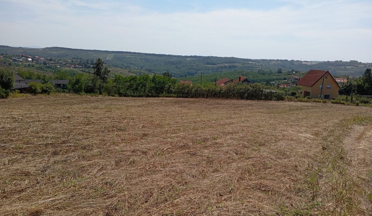 photo_2025-09-10_14-02-33