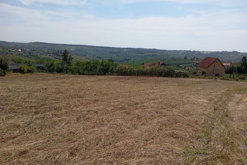 photo_2025-09-10_14-02-33