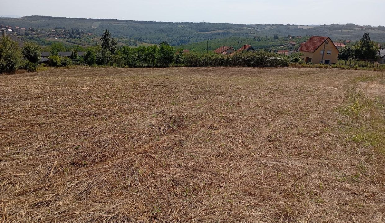 photo_2025-09-10_14-02-35