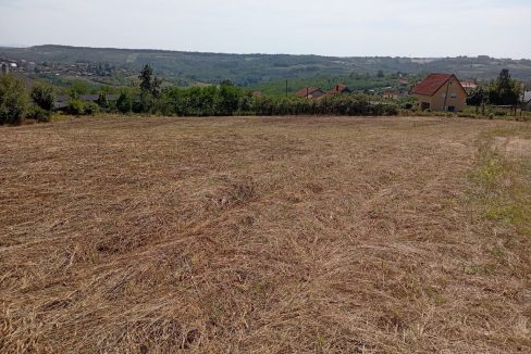 photo_2025-09-10_14-02-35