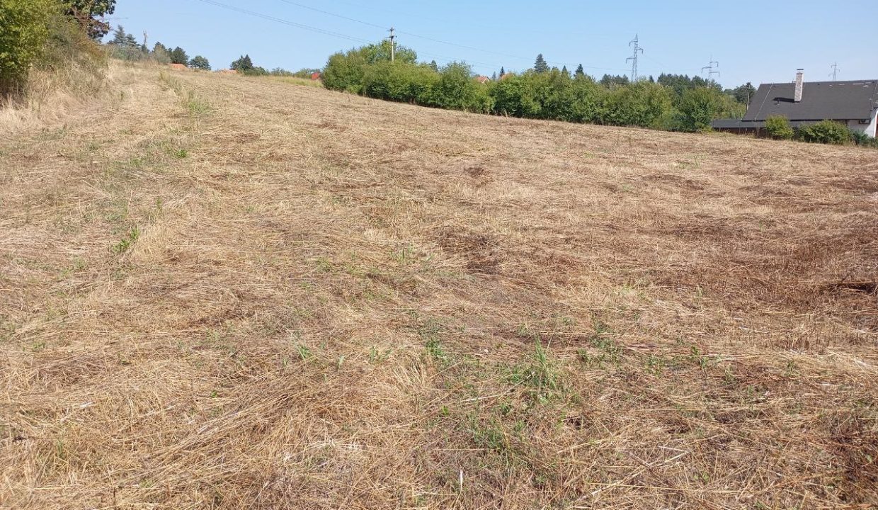 photo_2025-09-10_14-02-38