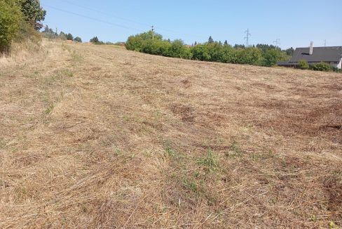 photo_2025-09-10_14-02-38