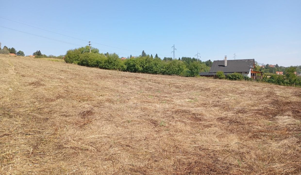 photo_2025-09-10_14-02-40