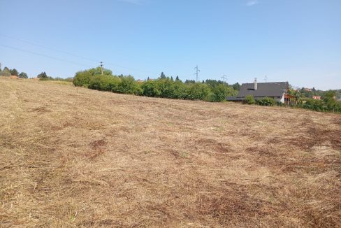 photo_2025-09-10_14-02-40