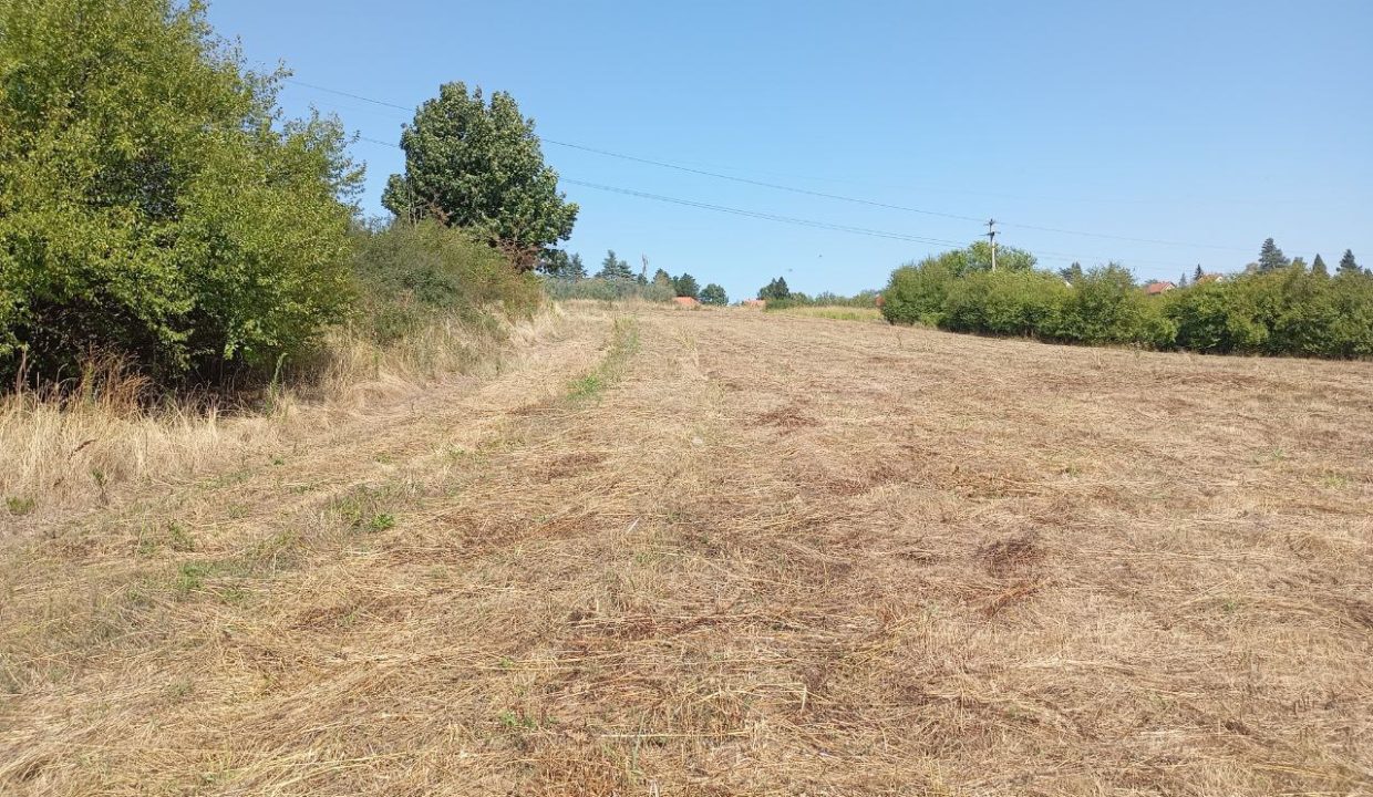 photo_2025-09-10_14-02-43