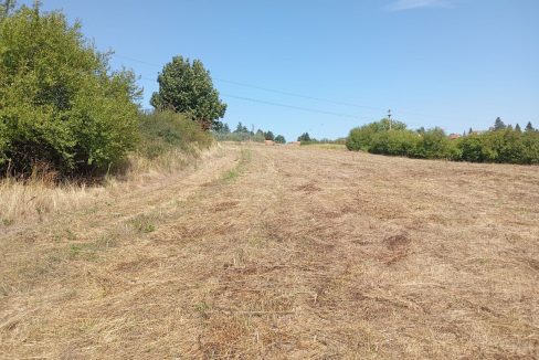 photo_2025-09-10_14-02-43