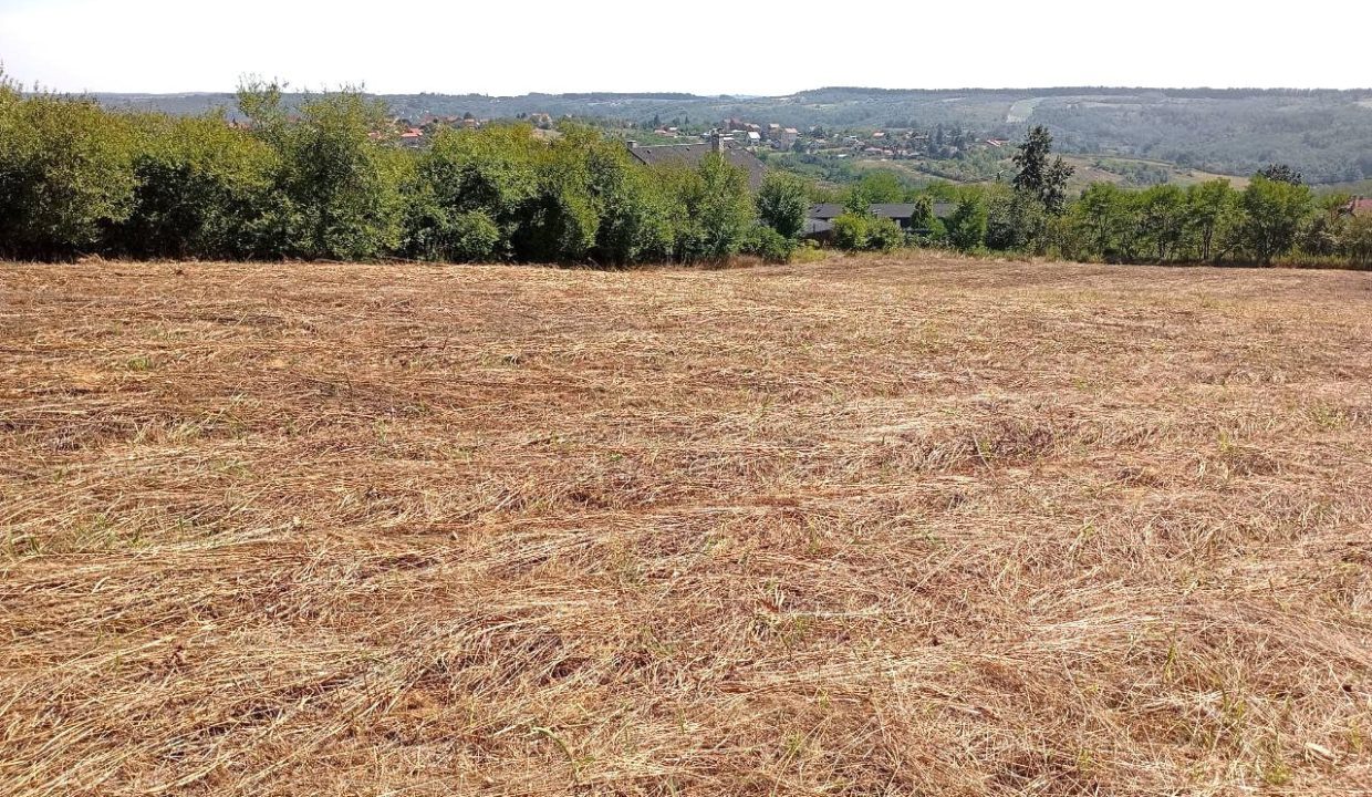 photo_2025-09-10_14-30-14