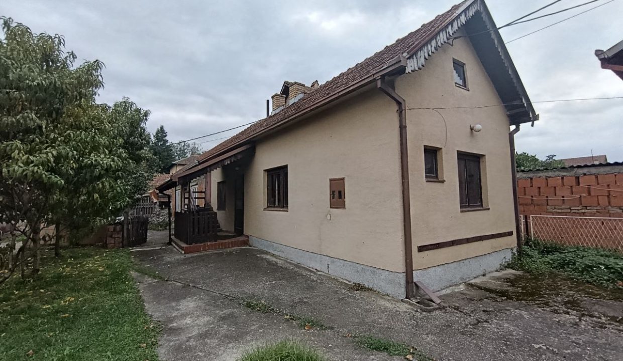 photo_2025-10-16_11-30-57