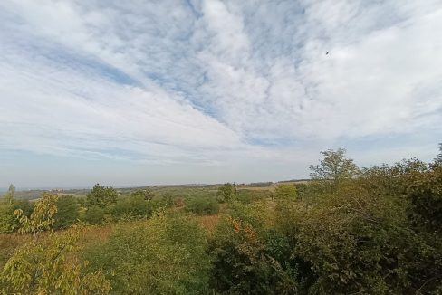 photo_2025-10-22_09-31-59