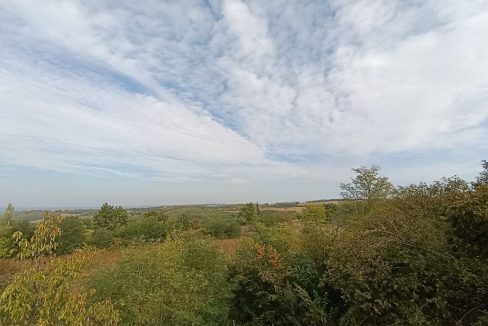 photo_2025-10-22_09-32-01