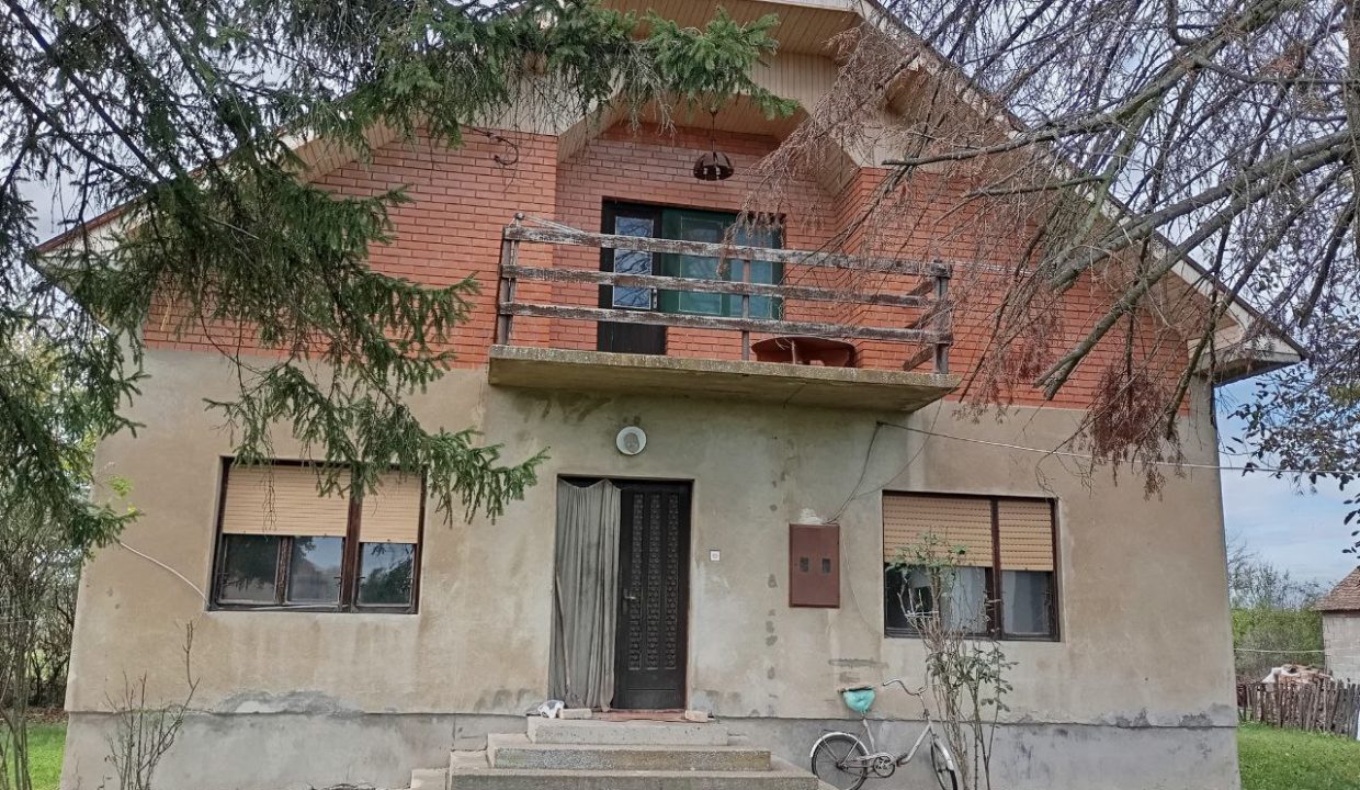 photo_2025-10-23_10-58-33