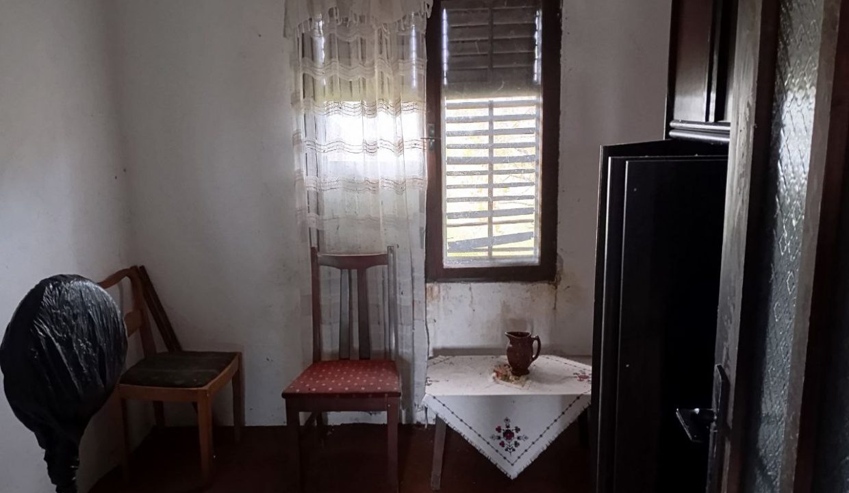 photo_2025-10-23_10-58-53