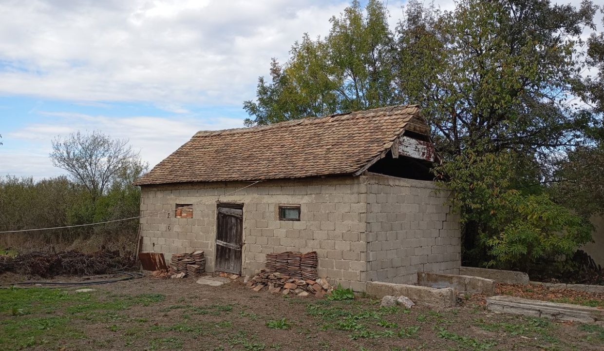 photo_2025-10-23_10-59-11