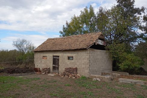 photo_2025-10-23_10-59-11