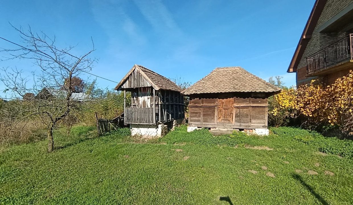 photo_2025-10-31_10-19-14