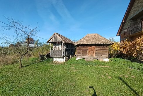 photo_2025-10-31_10-19-14