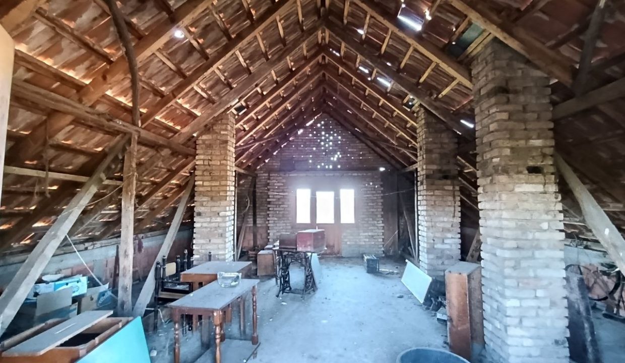 photo_2025-10-31_10-19-19