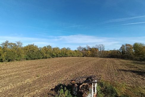 photo_2025-10-31_10-19-22