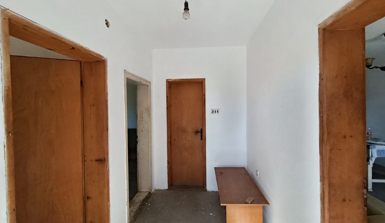 photo_2025-10-31_10-19-35