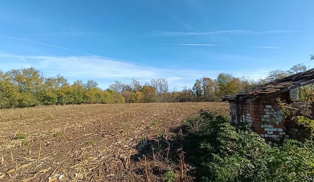 photo_2025-10-31_10-19-38