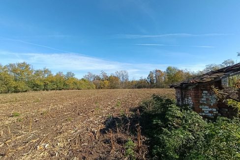 photo_2025-10-31_10-19-38