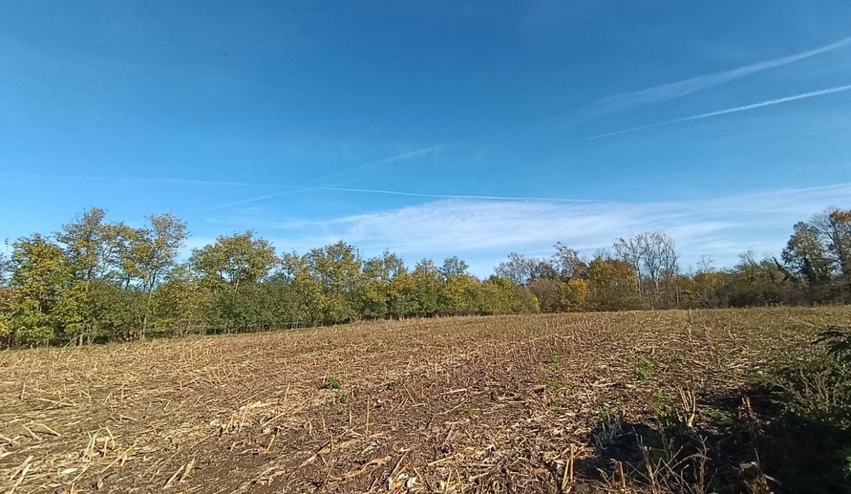 photo_2025-10-31_10-19-41