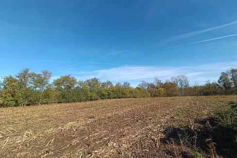 photo_2025-10-31_10-19-41