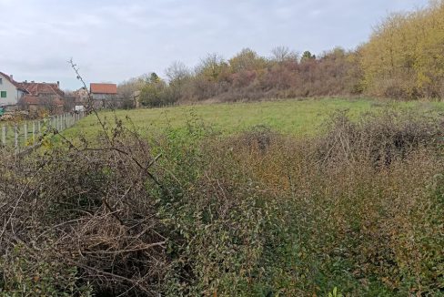 photo_2025-11-10_10-39-14