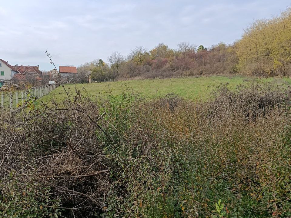 photo_2025-11-10_10-39-14