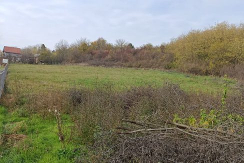 photo_2025-11-10_10-39-19