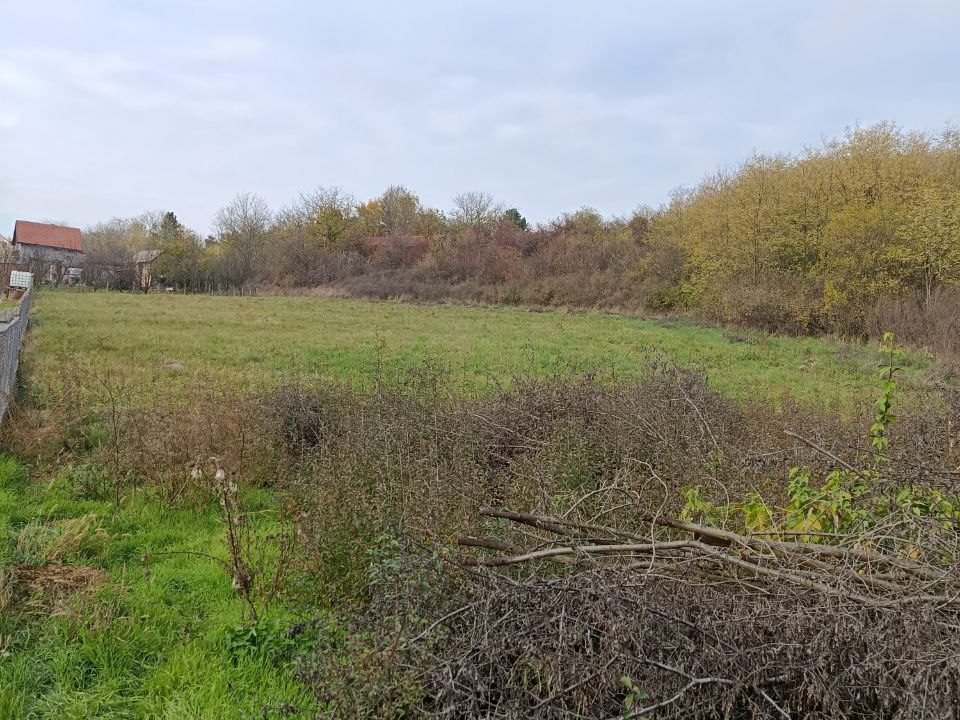 photo_2025-11-10_10-39-19