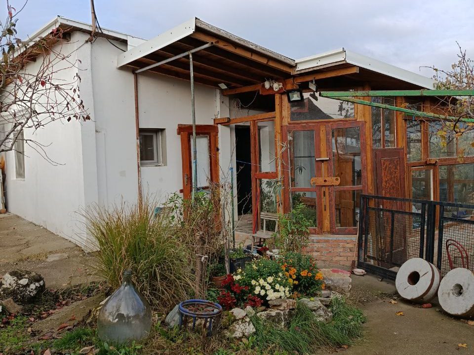 photo_2025-11-10_13-13-04