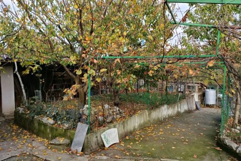 photo_2025-11-10_13-13-12