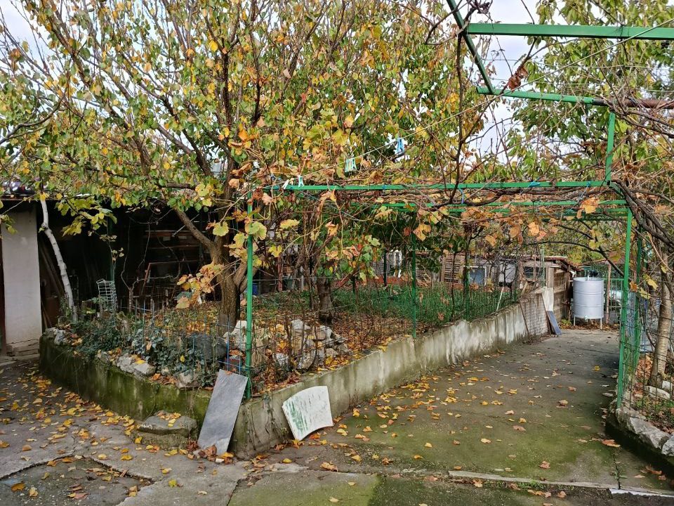 photo_2025-11-10_13-13-12