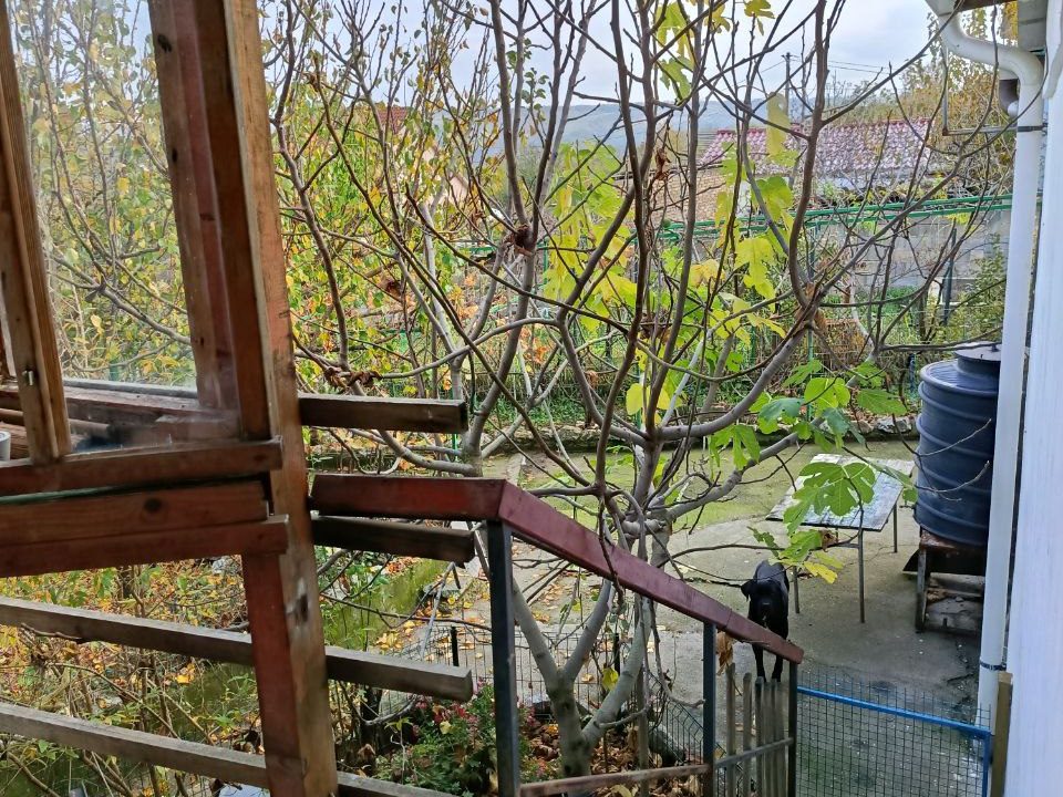 photo_2025-11-10_13-13-21